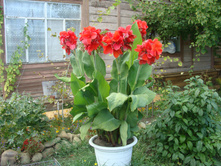 ��� ��� ������ ����� ���� ��� �����2