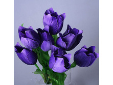 ����� 30 �� �������� ������ ����� 449495 150�.jpg