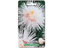 ����� ��������� ��������� �������. 70 ��. 9 ���.jpg