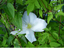 ��������� (5).JPG