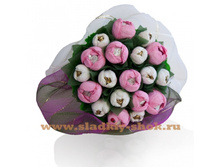 ����� ������� ���������, ���. ��-08