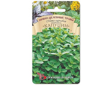 ���� �������� �������. 0,08 �. 18 ���.jpg