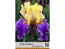 ���� ��������� Edith Wolford ���� �� 1 �� 121�.00�.