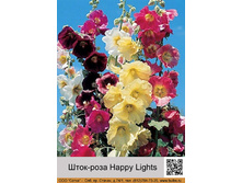 ����-���� Happy Lights ���� �� 1 �� 65 �
