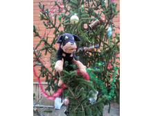 ���������� ������-2