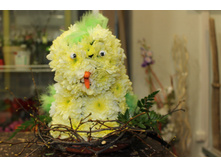 �������-011