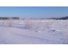 2016-01-16 03 cr.jpg