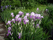 ���� ������� ����� ���. ����.jpg