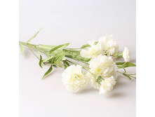 �������� �������� 9140, white 158� ����� ���� 130�