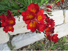 ������ �������� ������� ���. ����2.jpg