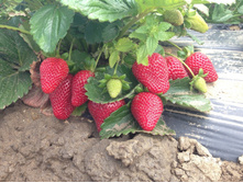 ��������� ������� ��������.jpg