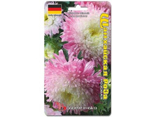 ����� ��������� ����� ���������� ���� �������. 40 ��. 20 ���.jpg