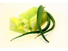 ���� ������������� ������ ������ "NewLife" ����, ��� 100 ��