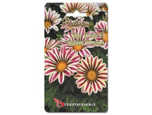 ������� ��� ���� F1 ���� �����. 5 ��. 34 ���.jpg