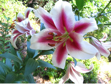 ����� �������� ���. ����2.jpg