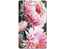 ����� ��������� ����� ������� ��� �����. 30 ��. 22 ���.jpg