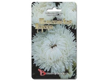 ����� ��������� c���� ����������� ������ �����. 30 ��. 22 ���.jpg