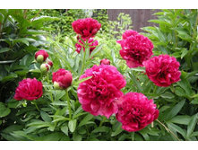 ���� ����� ����� ���. ����.2.jpg