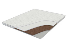 ������ ���������