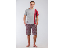 8494 �������� ���. -490 ���