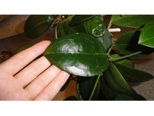 ��������� ������ ��� ....