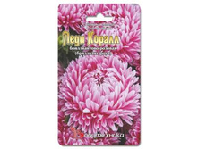 ����� ��������� ����� ���� ������ ������������-������� (��������� ����). 40 ��. 18 ���.jpg