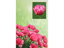 ����   43 ���.  ����� ������ 10 ��!!!