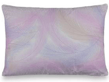 ������� ����������� 14 ��� ����� ���������