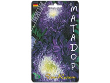 ����� ��������� ����� ������� ��� �����. 30 ��. 22 ���.jpg