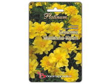 ������� ����������� ������ ������-����. 12 ��. 32 ���.jpg