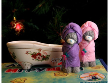 ����� � ������ - 150 ���./��.