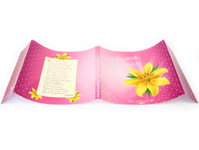 Oblozka rozovaya super.jpg