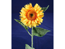 ��������� 14609-04 387�.jpg