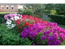 ������ 2.jpg