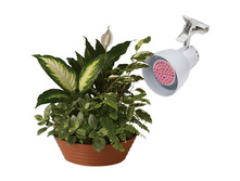 ��� ������������ ����� + ���������� ��������