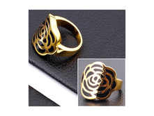 360� ������ PR11173