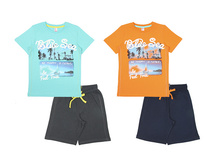 �������� ��� ���. (�������+�����) CSJ9580 571+%