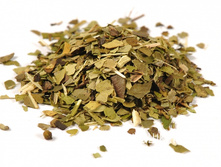 ���� �������