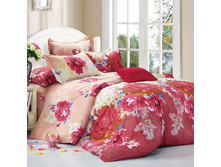 ���������� ����� ��� 1,5 ������ Domus ���. D� 90. ���� 756 ���