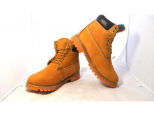 Phoca thumb l 1654 69.jpg