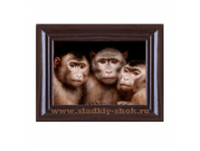 ���������� �������� "��������� �������� �������" 80�� � 100��, ���. ���-282�