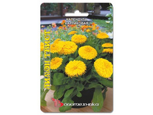 ��������� ���������� ����� �����. 20 ��. 20 ���.jpg