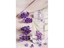 �������, ������������������� ��������� ���� (Inovia)