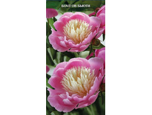 ���� ���� �� �����.jpg