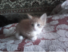 IMG 20160116 104837.jpg