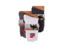 ����� ������� Apollon (�����������, ��������� ������) №�1-1 (3-25).jpg