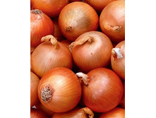 ��� ����� �����  0,5 ��.jpg