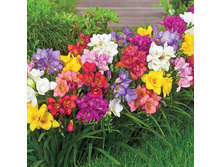 ������ � ����.jpg