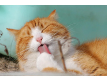 ... � ��� ����������� ������ ...