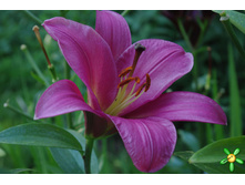 ����� ����� ����� ���. ����2.jpg